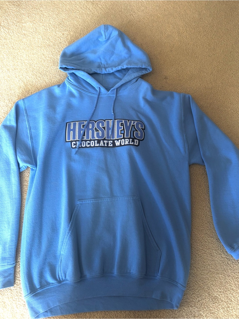 Gildan Light Blue Hershey's Chocolate World Hooded Sweatshirt - Men's